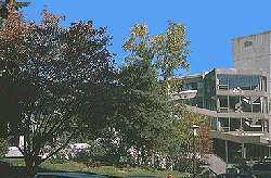 Mackintosh-Corry Hall